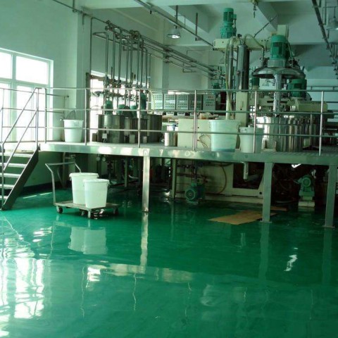 肇庆乙烯基防腐蚀地坪,乙烯基酯地坪,乙烯基酯防腐蚀地坪,乙烯基重防腐蚀地坪,乙烯基重防腐地坪,乙烯基重防腐自流平地坪